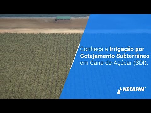 Conheça a Irrigação por Gotejamento Subterrâneo em Cana-de-Açúcar (SDI).