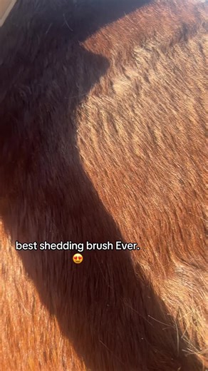 it’s so good dude i love it smmm😍😍#CapCut #yayayayayayayyayaya #fyppppppppppppppppppppppp #longdistancerelationshipgoal #thank ##memenatal #axelforpresident #equeatrianlifestyle #onlineshow #longdistancerelationship #fyppppppppppppppppppppppp #equeatrianlifestyle #CapCut #fyppppppppppppppppppppppp #yayayayayayayyayaya