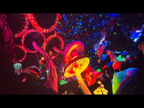 The Symphony Orchestra of Unity - Full essence session in Las Vegas