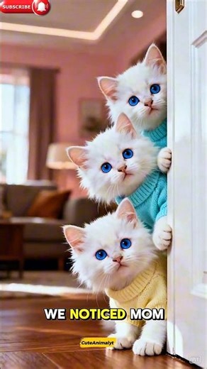 Helping a Tired Mom 🐾 Kittens Care for Mom Cat Animated Short