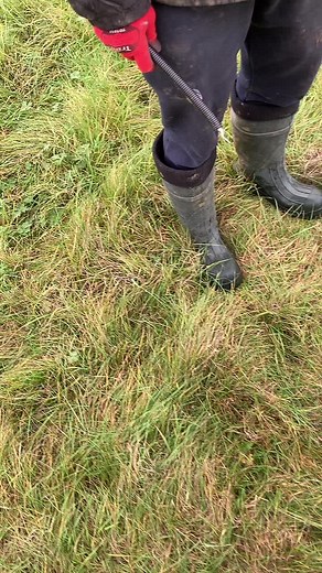 Electrician keeping his power tools safe #electrician #electrical #sitework #construction #milwaukeevsdewalt #makitavsmilwaukee #spark