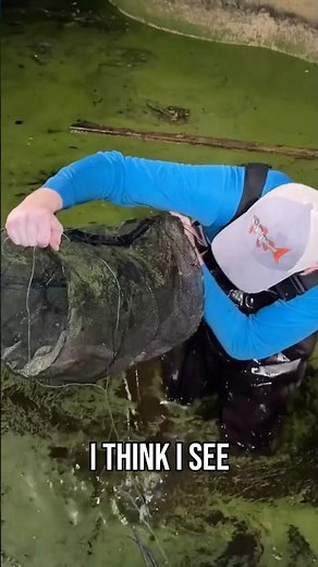 Monster Fish Caught in an Abandoned Pond... #monster #fish #fishing #abandoned #pond