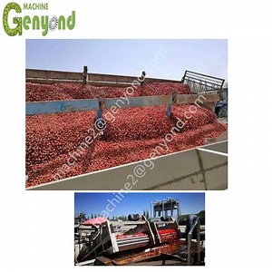 [Hot Item] Tomato Paste Processing Line/Fruit Plum Jam Production Line