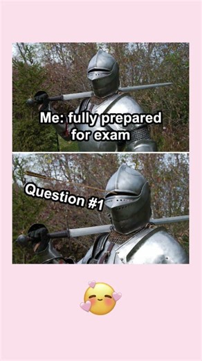 #memes #funny #laugh #humorvibes #laugher #duet #lifeisbutadream