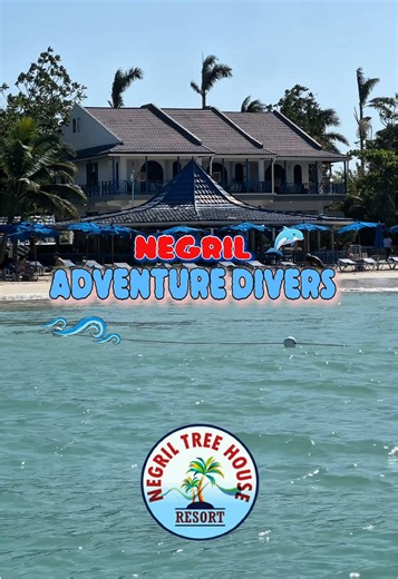 🌊 Big news on Seven Mile Beach. Negril Adventure Divers is now located at Negril Tree House Resort. Offering scuba diving, snorkeling, fishing, sunset cruises, and picnics, all right here on the beach. Whether it’s your first dive or your next adventure, this is where it starts 🤿✨ Tree House guests receive 10 percent off when booking with Negril Adventure Divers. Just ask when you book. This is what a full day of scuba diving in Negril looks like 🌊🐠 scuba diving Negril Jamaica scuba diving S