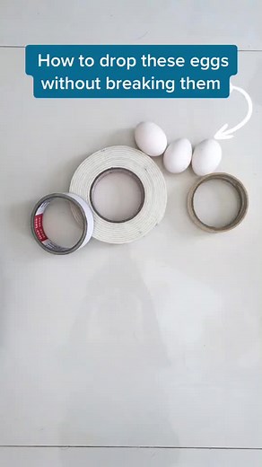 Egg Drop Challenge: Creative Ways to Protect Your Egg!