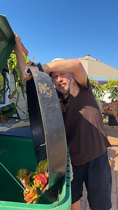 4.6K views · 286 reactions | Have throw away a TON of our dragon fruit #dragonfruit #gardening #Pitaya #fruit #eat | My Dragon Plug | Facebook