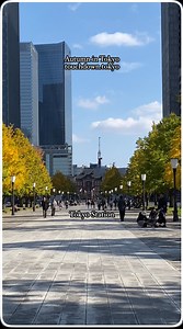 Autumn in Tokyo Date taken: November 15, 2025 #autumn #tokyo #japan #fall #travel #tourism #travelwithme #travelgoals #reels #reelsfb #reelsfbシ #japantravel #traveljapan | Touchdown Tokyo