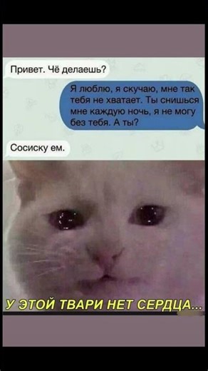 Когда хочешь взаимность но получаешь...😂🤣 #юмор