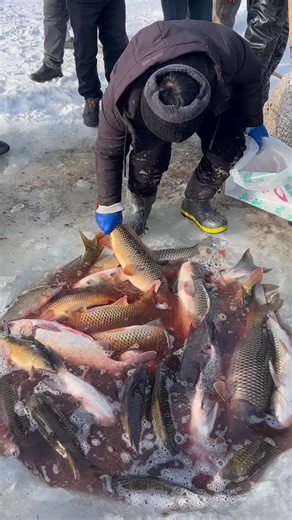 Heavy Snowfall Covers Loughborough Streets Fishing Market in America #sephoraalışverişim #americandream #AmericanLife #USAlife #usastyle