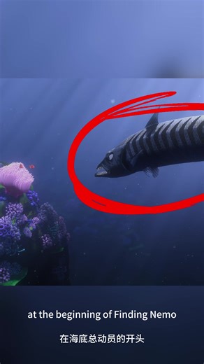 Do you remember the barracuda at the beginning of Finding Nemo#findingnemo #movie #facts #fyp