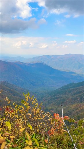 Fall Beauty from the Smoky Mountains