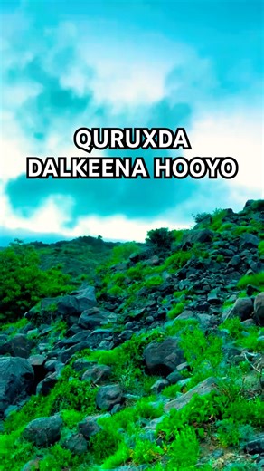 QURUXDA DALKEENA HOOYO #gabay #heesocusub #heesosomali #heeso #heeso_xul_ah #shorts #somali #short
