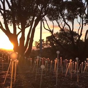 4.9K views · 119 reactions | A NEW DAWN This weekend only, the Field...