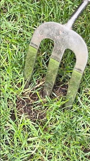 Summer Small Lawn Patch Repair