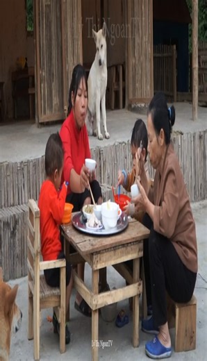 7K views · 238 reactions | surprise - mother in law informed that husband has returned. Is Ngoan's life still stable | Delicious Cooking | Facebook