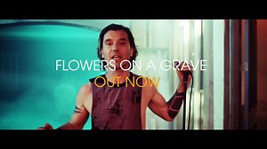 162K views · 3.3K reactions | Pre-Order our new album 'The Kingdom' and watch the video for 'Flowers On A Grave' Now https://BushBand.lnk.to/TheKingdomAlbum | Bush | Facebook