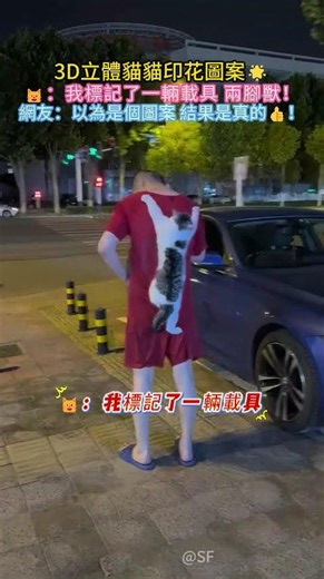 wow❗3D立體貓貓印花圖案🌟 🐱：我標記了一輛載具😊是兩腳獸❗網友：以為是個圖案 結果是真的👍✨ #cat #funny #cute #shorts #funnyshorts
