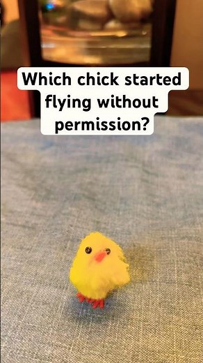 Which chicken started flying without permission?