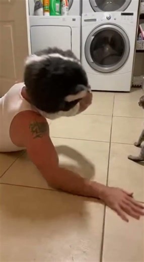 Cat Mask Prank Goes Wrong | Hilarious Cat Reaction