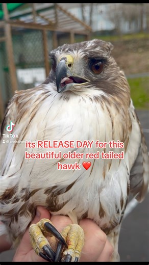 43K views · 1.9K reactions | Saturday and Sunday were PERFECT days...