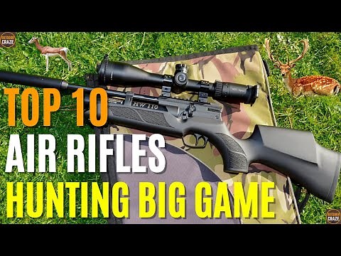 Top 10 Best Air Rifles for Hunting Big Game | Best Air Rifles 2024