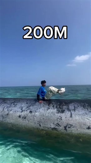 Discover the Future of Innovation with Smart Bots