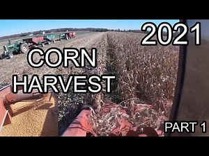Corn Harvest 2021-Part 1 Oliver 55 Series and White 8900 Combine