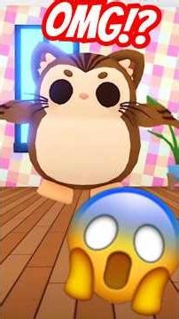 NEW MEME MEOWL PET IN ADOPT ME! #roblox #adoptme #pets #meme #funny #cute #preppy #meowl #fyp