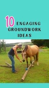 1.8K reactions · 218 shares |  Tired of the same old groundwork...