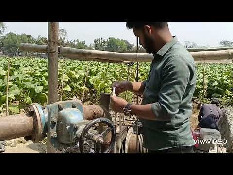 Field Step Drawdown Test | Pumping Test