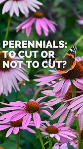 18 reactions | Recently, we talked about the benefits of planting...