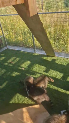 73K views · 2.1K reactions | Nasze bombelkowo kończy pomału etap...