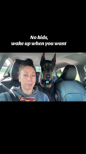 Understanding Doberman Pinschers: A Single Owner's Journey