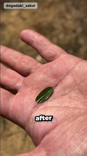 How to Make a Compass in 10 Seconds