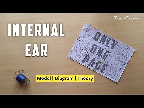Internal Ear or Labyrinth | Part 1 | Bony and Membranous labyrinth | One Page Chart & Model | TCML