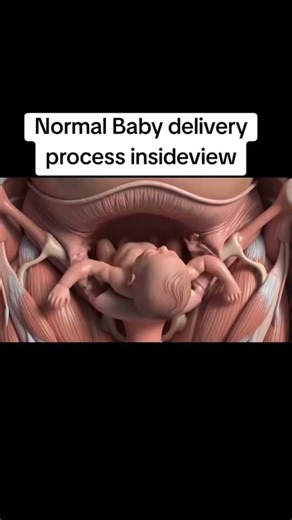How a Baby Is Born Naturally | Inside View of Normal Delivery #babyplus #babyjourney #mynewbaby