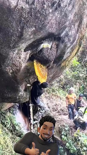 This honey hunter collects wild honey but stays wild friendly with the bees 🐝🍯..👀 #beekeeping #wowmoment #nature #Shocking #fbreelsfypシ゚viralシ #fypシ゚viralシfypシ゚viralシalシ | Marquis K. Hughes