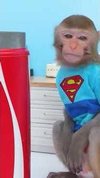#kidssongs #kidsvideos #cartoon #monkey #monkeybaby #animalshome