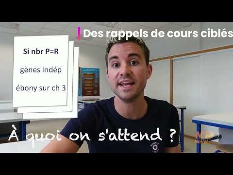 Les ECE de SVT 🌋 au Bac 2022 (Nouveau cours NovelClass) avec ‪@SciencesNat‬