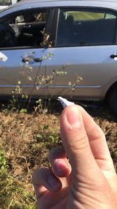 Window vs spark plug #fyp #foryoupage #foryou #4u #mechanic #mechanical #cars #funny #comdey #liftedtrucks | jenning