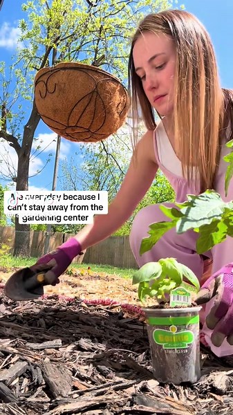 Menards and Gardening: A Love-Hate Relationship