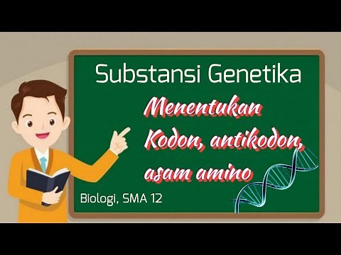 Substansi Genetika : menentukan rantai kodon, antikodon dan asam amino