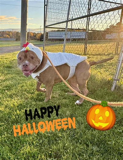 1.8K views · 60 reactions |  BREAKING NEWS: We don’t usually board...