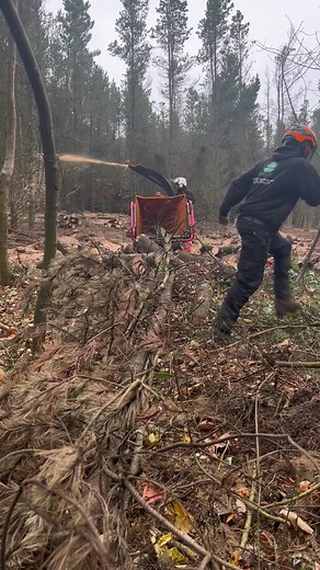 6 inch tracked Forst eating a pine #pine #chipper #track #tracked #tree #work #machine #power #ppe