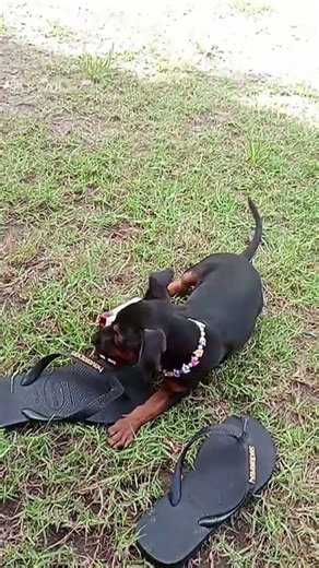 27 de março de 2026