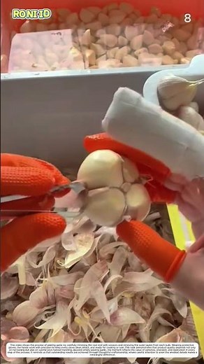 Peeling Garlic Skin: How Hand Tools Transform Whole Bulbs into Clean Cloves