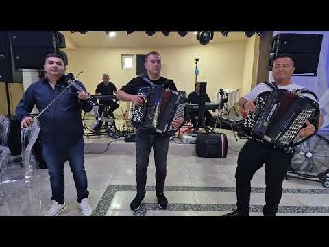 Orkestar Darka Antića - Lavovi - Punoletstvo Čačak