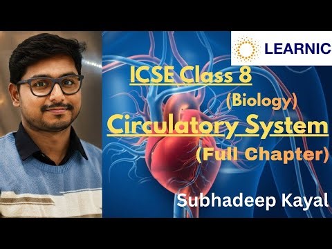 Circulatory System | ICSE Class 8 | Full Chapter | ‪@Learnicneet‬