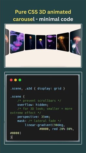 Pure CSS 3D Animated Carousel | Minimal Code & Fully Commented Tutorial